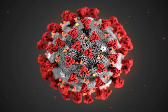 Ardans et le coronavirus Covid-19