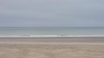 Ardans et de Nouvelles Perspectives 2026